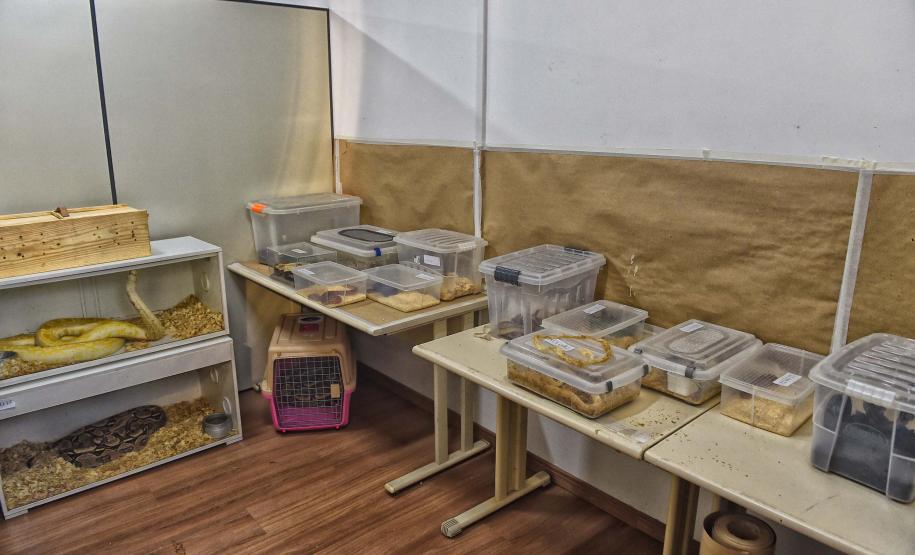 Instituto Água e Terra iniciou o processo de avaliação clínica de animais vítimas do tráfico internacional resgatados pela Polícia Civil