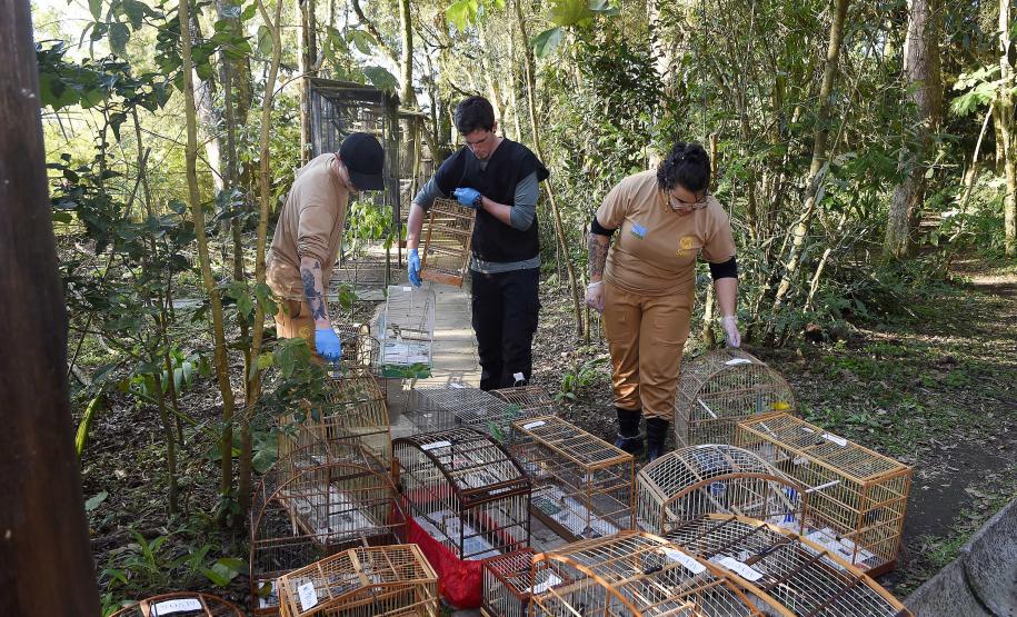 Instituto Água e Terra iniciou o processo de avaliação clínica de animais vítimas do tráfico internacional resgatados pela Polícia Civil