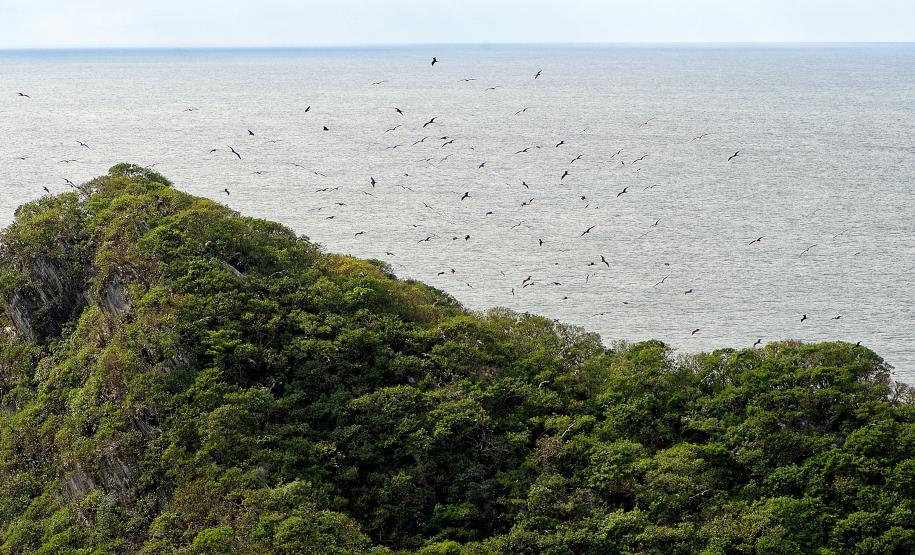 Semana do Meio Ambiente: 5 motivos que fazem do Paraná o estado mais sustentável do País