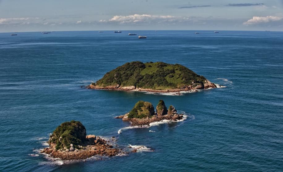 Semana do Meio Ambiente: 5 motivos que fazem do Paraná o estado mais sustentável do País