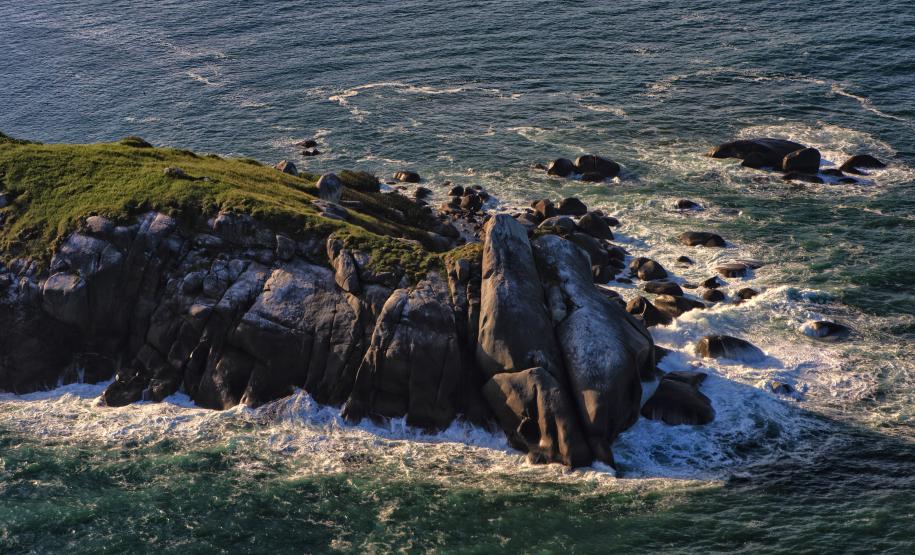 Semana do Meio Ambiente: 5 motivos que fazem do Paraná o estado mais sustentável do País