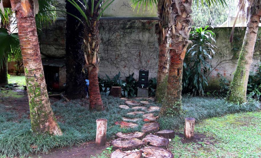 Selo Clima amplia legado sustentável no Paraná; inscrições de 2025 estão abertas