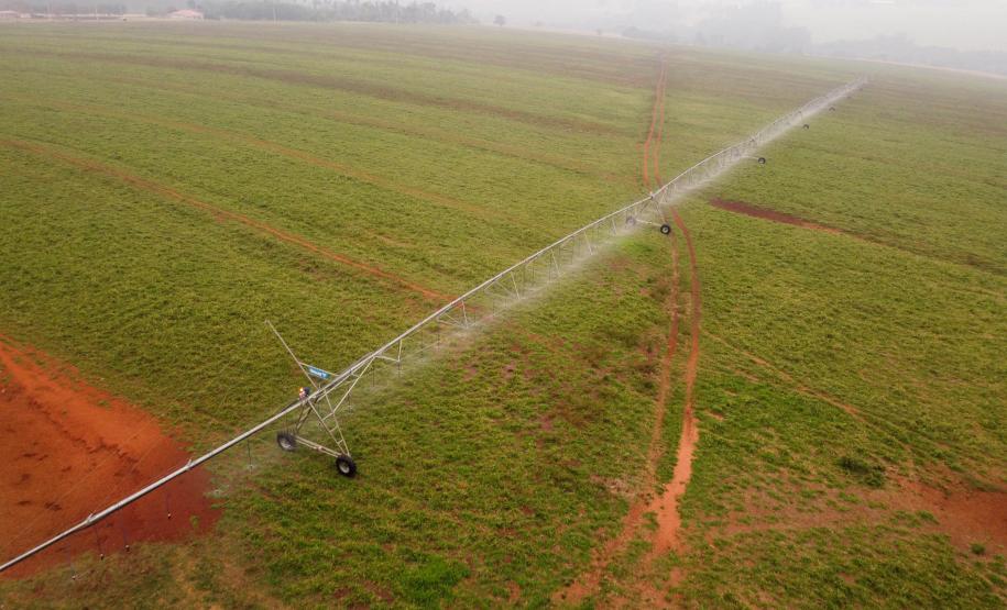 Construção de poços artesianos e implantação de projetos de irrigação são algumas das ações estabelecidas pelo Governo do Paraná para combater a estiagem.