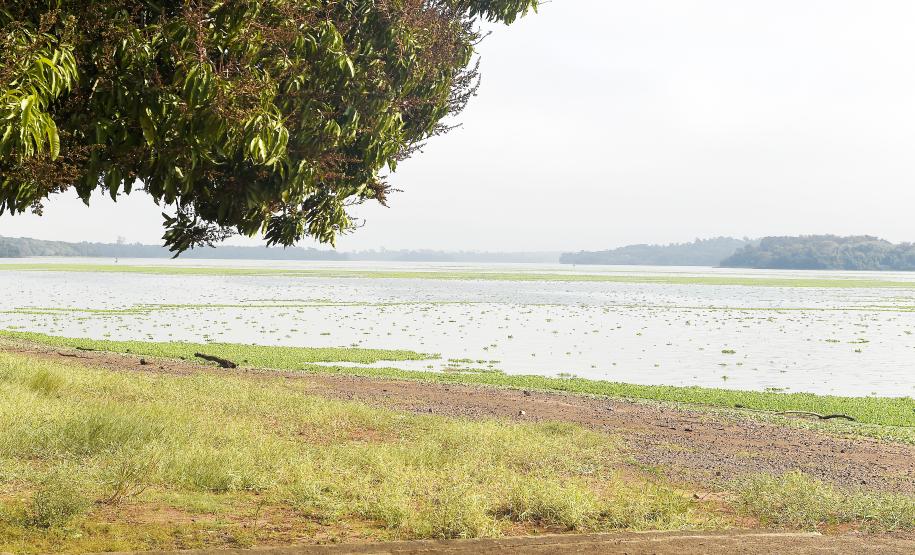 Comitê da Bacia Hidrográfica (CBH) dos Afluentes do Baixo Iguaçu vai se reunir no começo de julho para selecionar os membros que irão compor a gestão de 2025-2029.