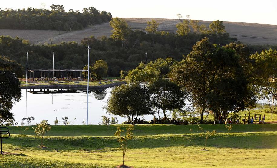 I Encontro Estadual de Arborização Urbana busca ampliar o plantio planejados de árvores nas cidades do Paraná