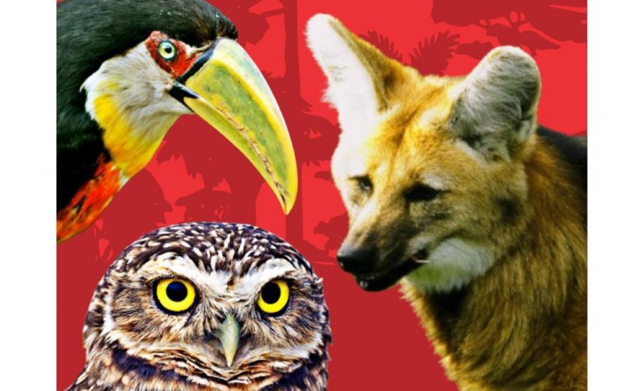 Paraná vai lançar em simpósio livro da fauna ameaçada,