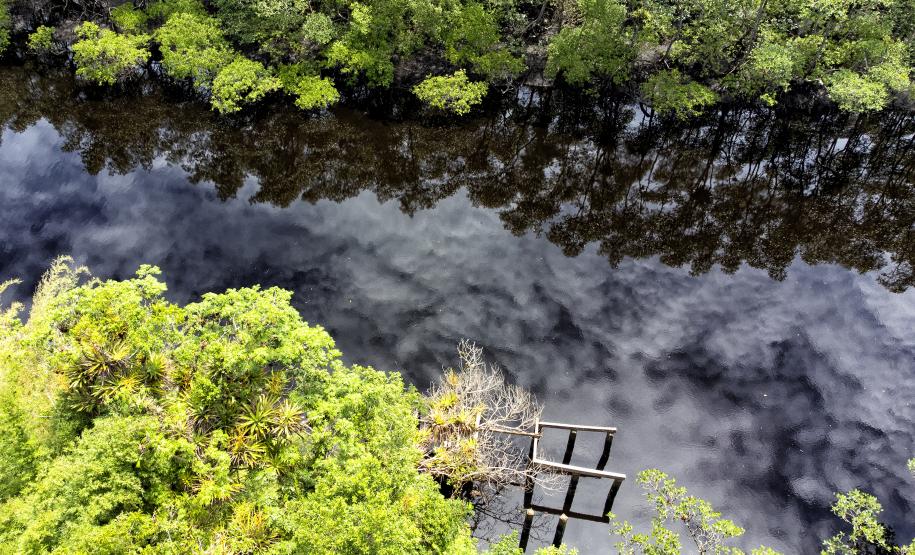 Semana do Meio Ambiente: 5 motivos que fazem do Paraná o estado mais sustentável do País