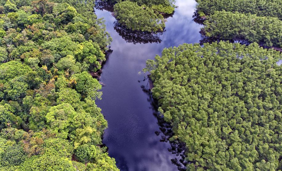 Semana do Meio Ambiente: 5 motivos que fazem do Paraná o estado mais sustentável do País