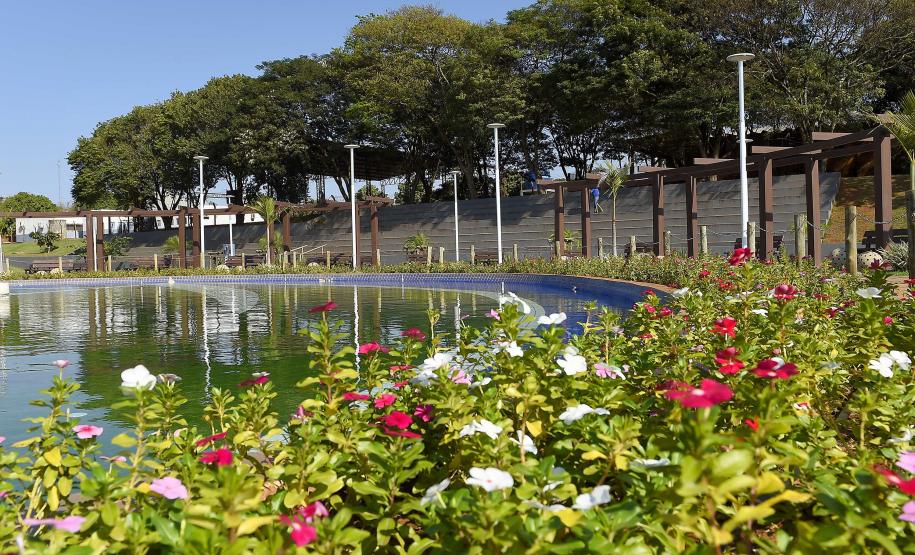 I Encontro Estadual de Arborização Urbana busca ampliar o plantio planejados de árvores nas cidades do Paraná