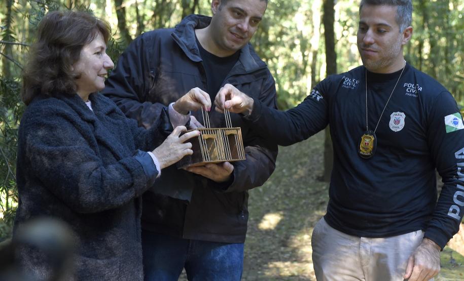 Pássaros resgatados do tráfico de animais começaram a voltar para a natureza nesta quarta-feira (25)