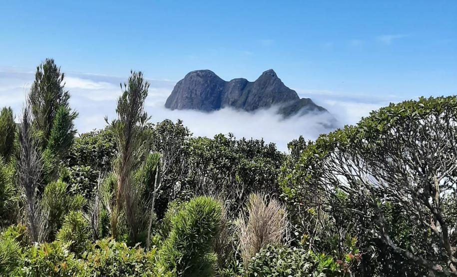 "Temporada de montanhas" exige planejamento e cuidados, orienta Corpo de Bombeiros
