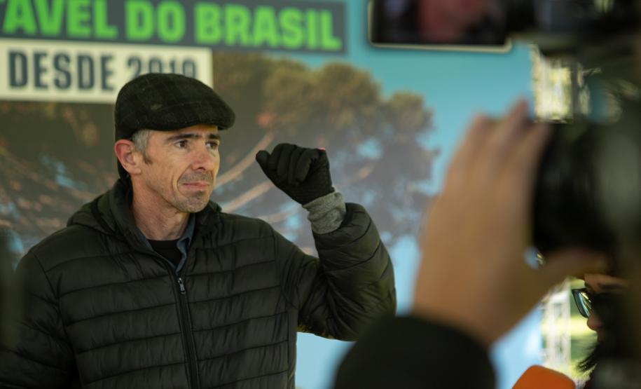 Jardim do Palácio Iguaçu recebe clone de araucária de 700 anos