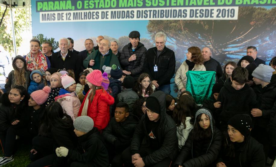 Jardim do Palácio Iguaçu recebe clone de araucária de 700 anos