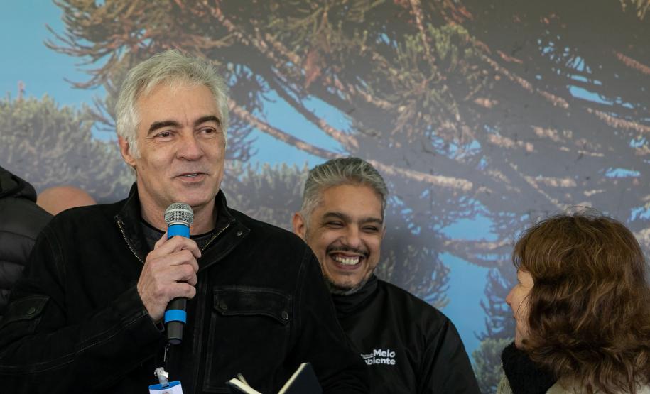 Jardim do Palácio Iguaçu recebe clone de araucária de 700 anos