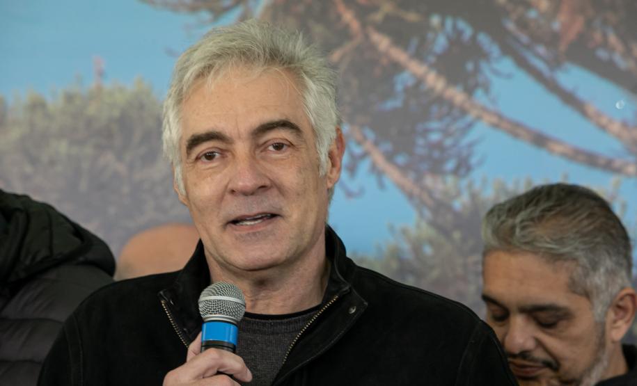 Jardim do Palácio Iguaçu recebe clone de araucária de 700 anos