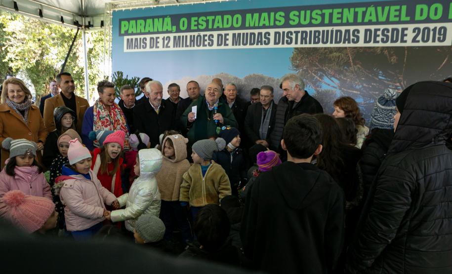 Jardim do Palácio Iguaçu recebe clone de araucária de 700 anos
