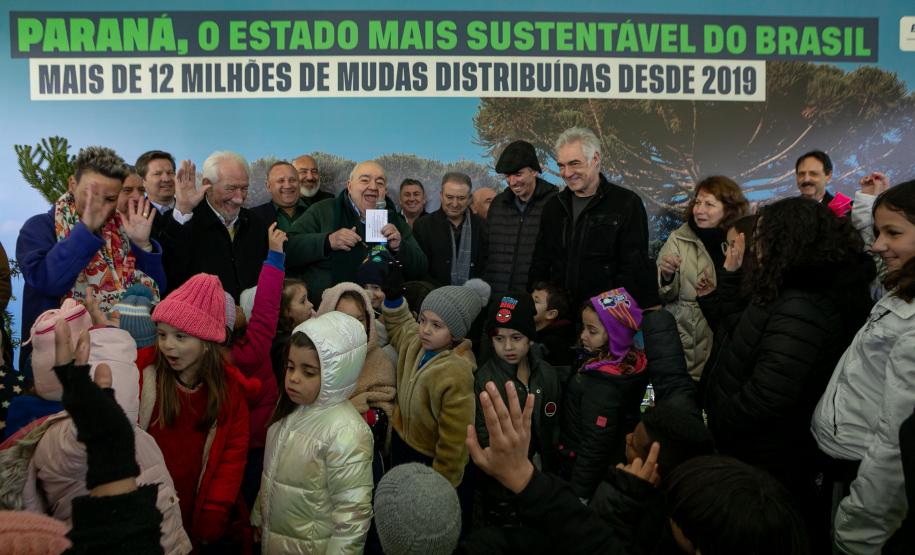 Jardim do Palácio Iguaçu recebe clone de araucária de 700 anos