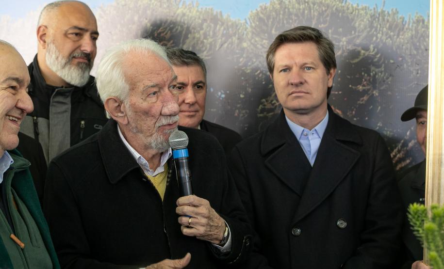 Jardim do Palácio Iguaçu recebe clone de araucária de 700 anos