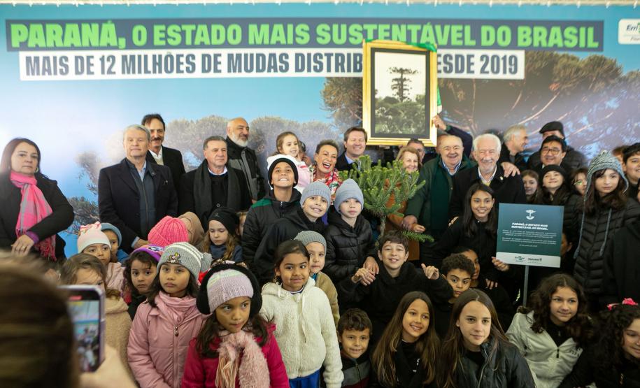 Jardim do Palácio Iguaçu recebe clone de araucária de 700 anos