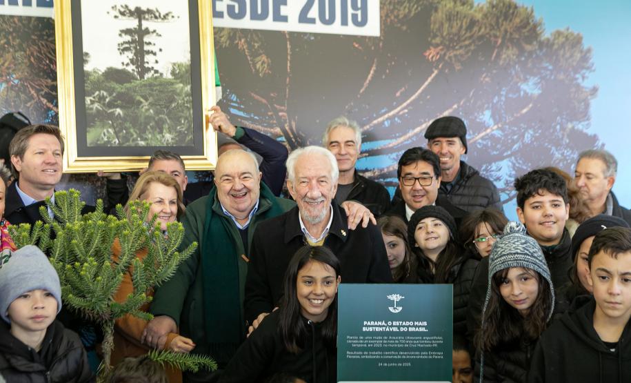 Jardim do Palácio Iguaçu recebe clone de araucária de 700 anos