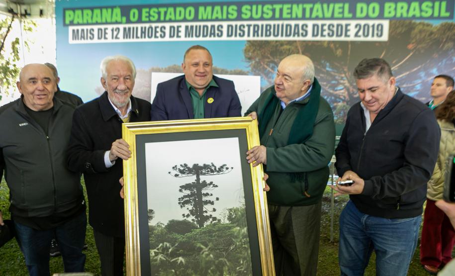 Jardim do Palácio Iguaçu recebe clone de araucária de 700 anos