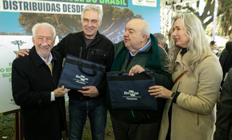 Jardim do Palácio Iguaçu recebe clone de araucária de 700 anos