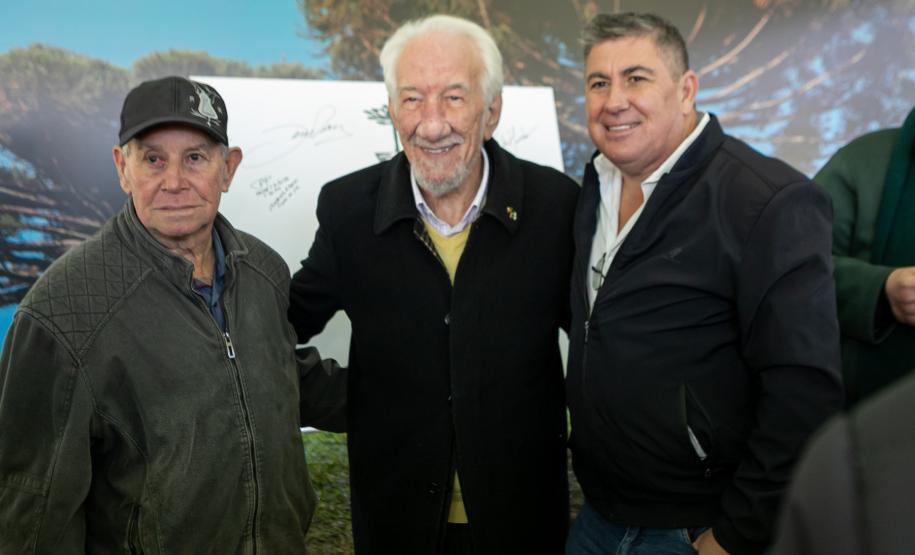 Jardim do Palácio Iguaçu recebe clone de araucária de 700 anos