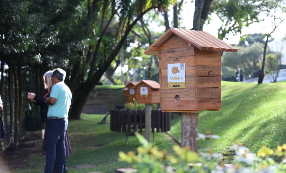 Sede do Ministério Público estadual ganha jardins de mel do Poliniza Paraná
