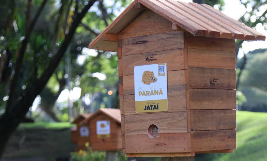 Sede do Ministério Público estadual ganha jardins de mel do Poliniza Paraná