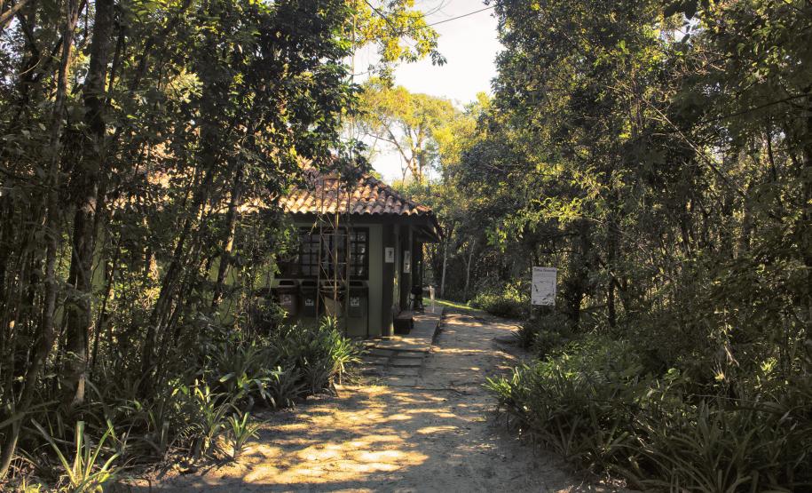 Parques Paraná: trilhas, grutas, montanhas, cachoeiras e muito verde para quem quer curtir o feriado perto da natureza.