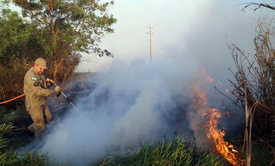 Estado reforça orientações para evitar incêndios florestais no período mais seco do ano