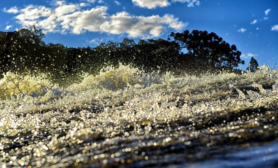 Dois comitês de bacias hidrográficas se reúnem na próxima semana