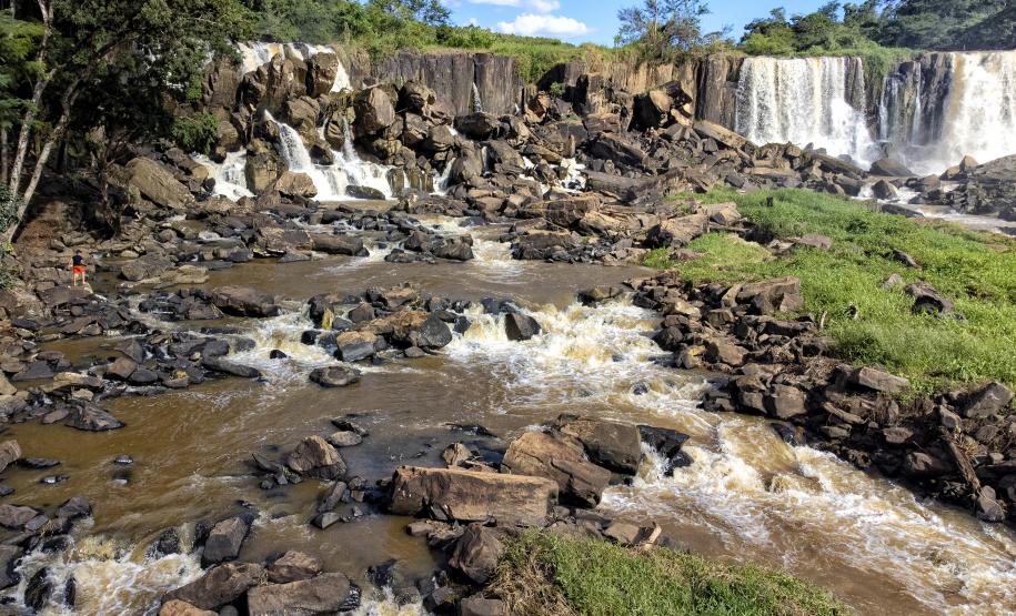 Semana do Meio Ambiente: 5 motivos que fazem do Paraná o estado mais sustentável do País