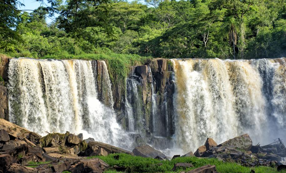 Semana do Meio Ambiente: 5 motivos que fazem do Paraná o estado mais sustentável do País