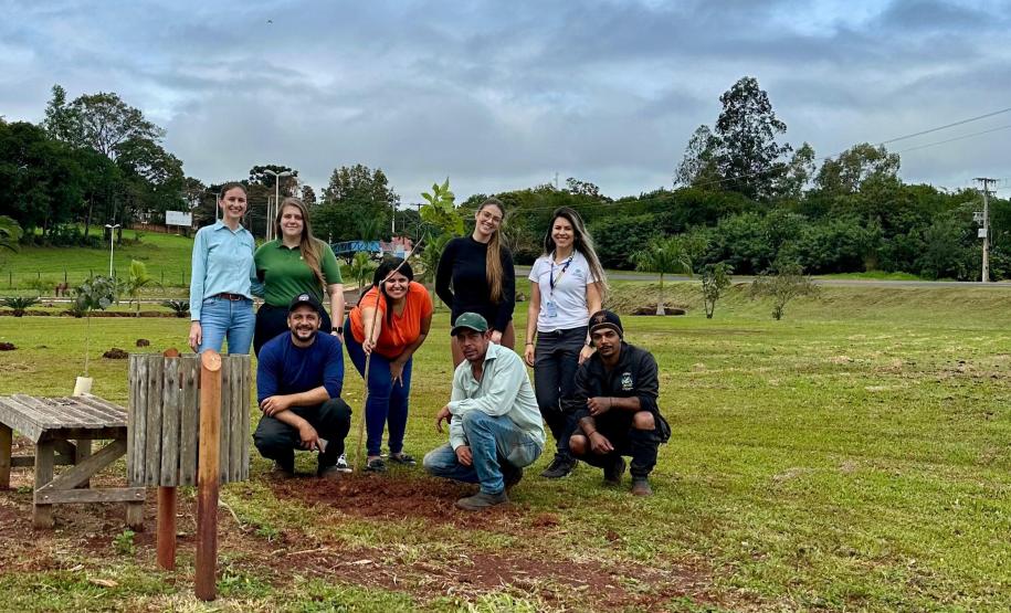 IAT distribui 30,1 mil mudas de espécies nativas durante a Semana do Meio Ambiente