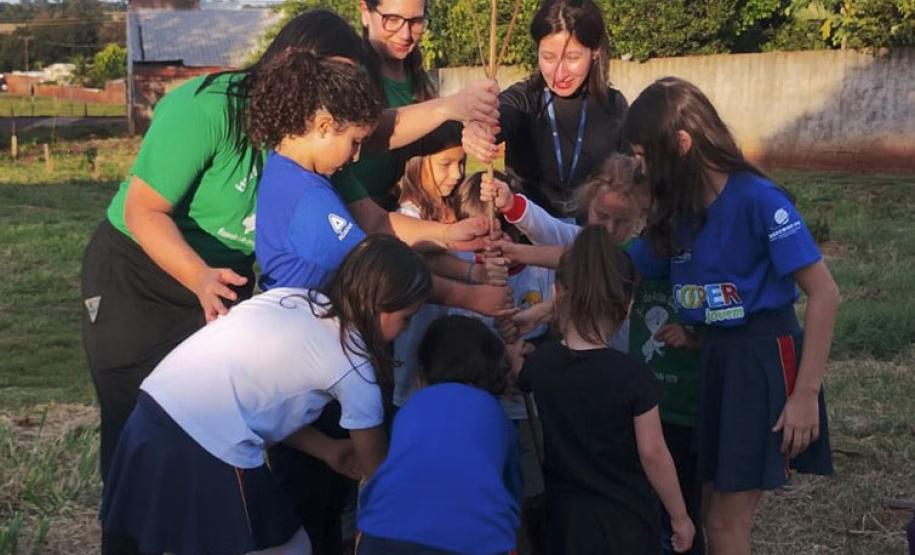 IAT distribui 30,1 mil mudas de espécies nativas durante a Semana do Meio Ambiente