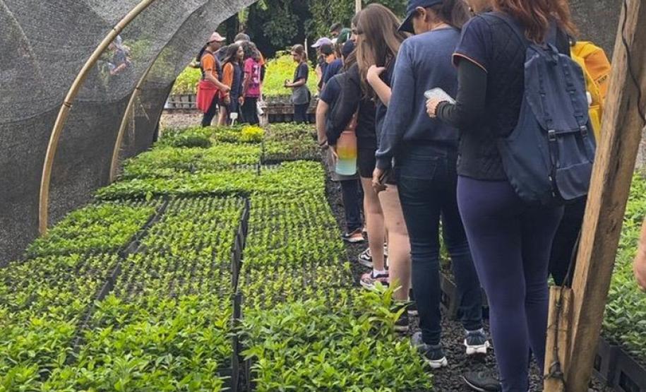 IAT distribui 30,1 mil mudas de espécies nativas durante a Semana do Meio Ambiente