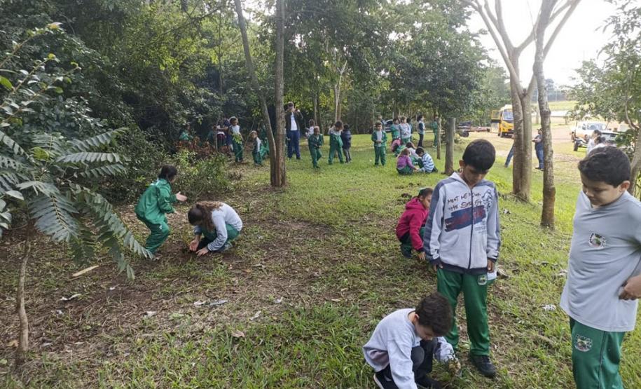 IAT distribui 30,1 mil mudas de espécies nativas durante a Semana do Meio Ambiente