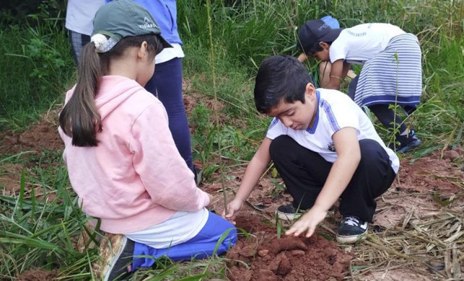 IAT distribui 30,1 mil mudas de espécies nativas durante a Semana do Meio Ambiente