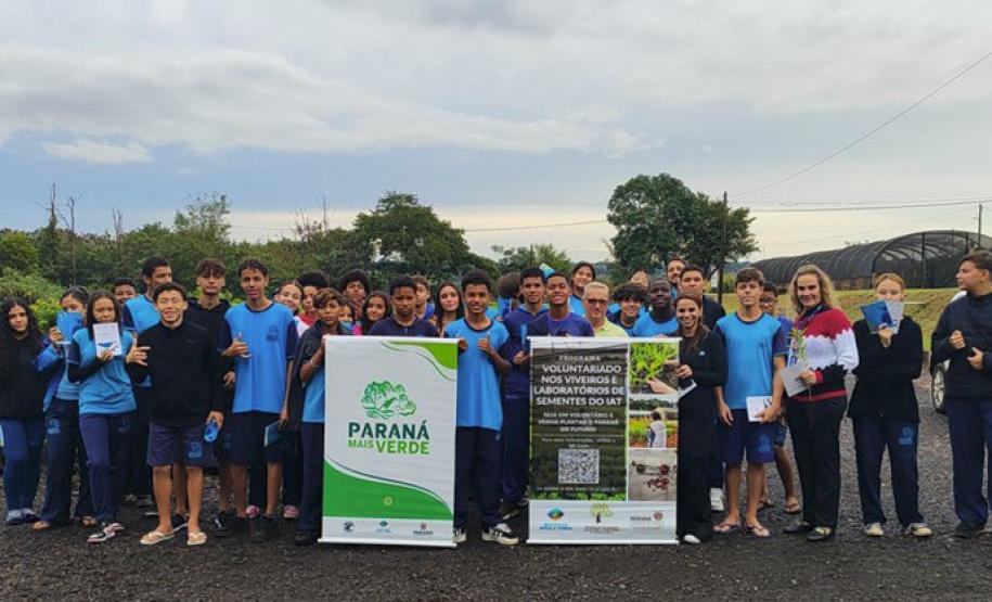 IAT distribui 30,1 mil mudas de espécies nativas durante a Semana do Meio Ambiente