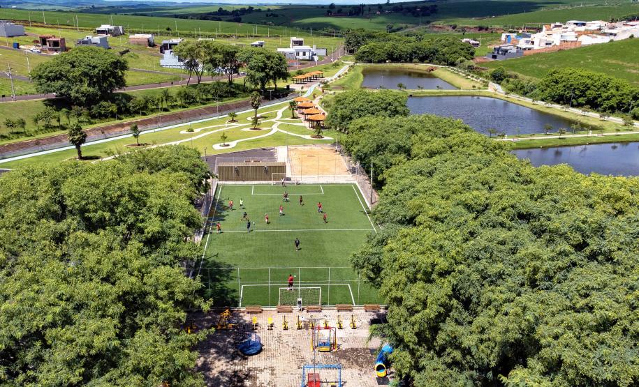 I Encontro Estadual de Arborização Urbana busca ampliar o plantio planejados de árvores nas cidades do Paraná