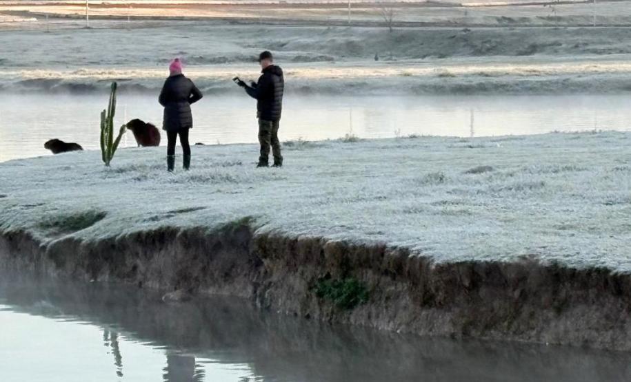 Com -7,8°C, quarta-feira teve menor temperatura do ano no Paraná e geada na Capital