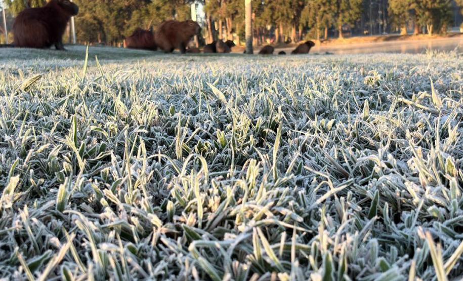 Com -7,8°C, quarta-feira teve menor temperatura do ano no Paraná e geada na Capital
