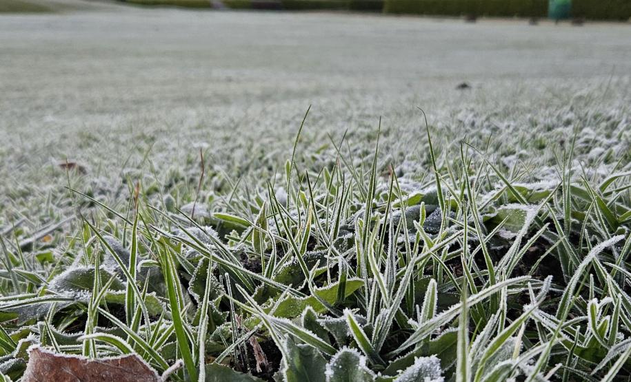 Com -7,8°C, quarta-feira teve menor temperatura do ano no Paraná e geada na Capital