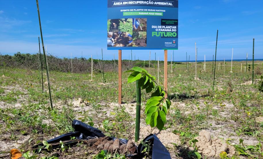 IAT estabelece parceria com a UFPR Litoral para projeto de conservação da restinga