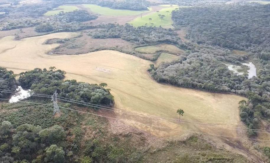 Operação de combate ao desmatamento em 12 cidades aplica R$ 4,6 milhões em multas