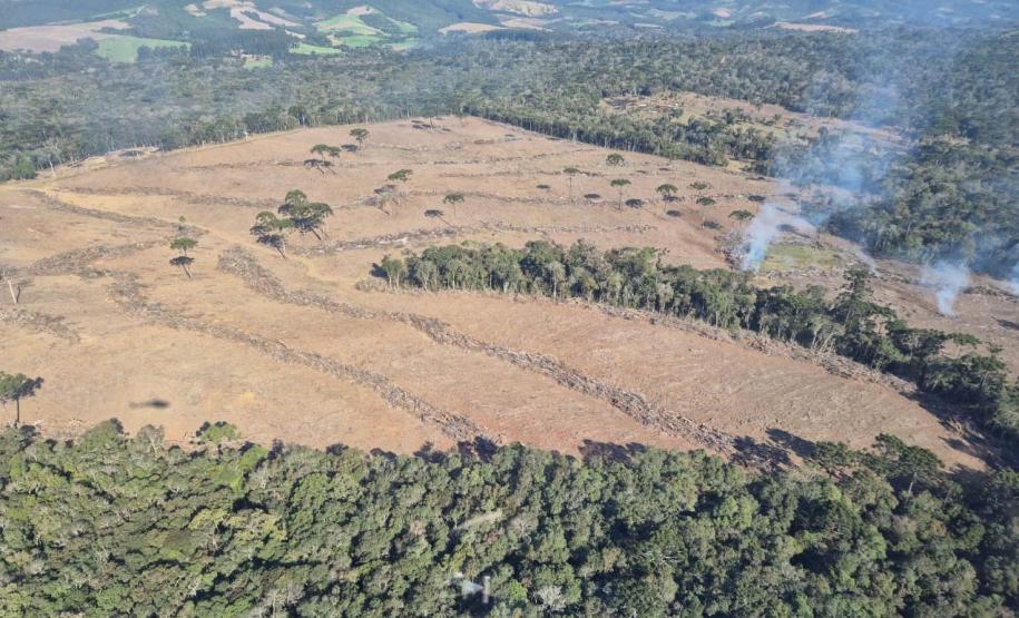 Operação de combate ao desmatamento em 12 cidades aplica R$ 4,6 milhões em multas