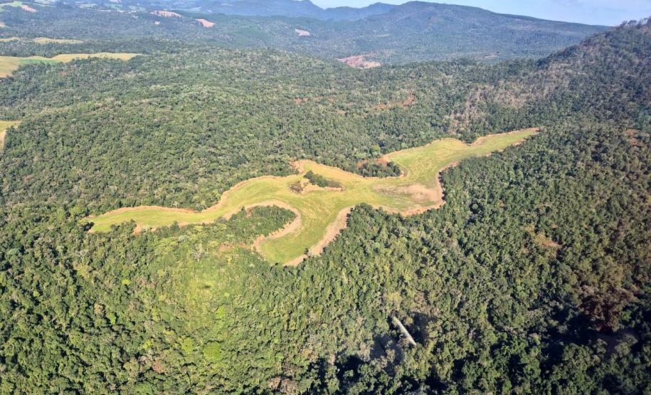 Operação de combate ao desmatamento em 12 cidades aplica R$ 4,6 milhões em multas