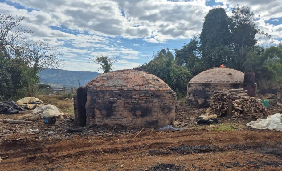 Operação de combate ao desmatamento em 12 cidades aplica R$ 4,6 milhões em multas