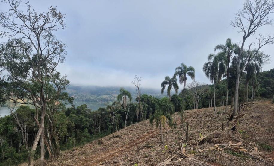 Operação de combate ao desmatamento em 12 cidades aplica R$ 4,6 milhões em multas